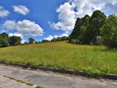 48 Birch St, Grafton, WV, 26354