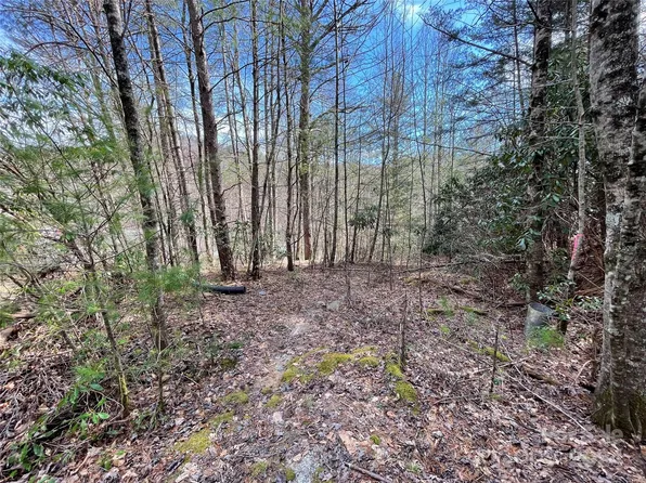 White Horse Rd, Brevard, NC 28712