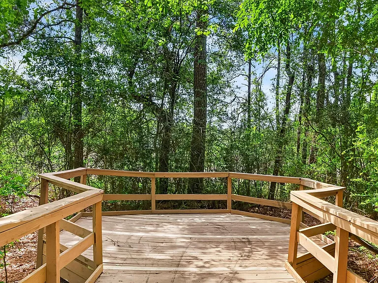 31722 Royal Woods Ct — Photo 37