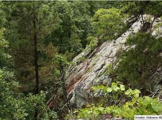 Cook Springs Rd, Pell City, AL 35125