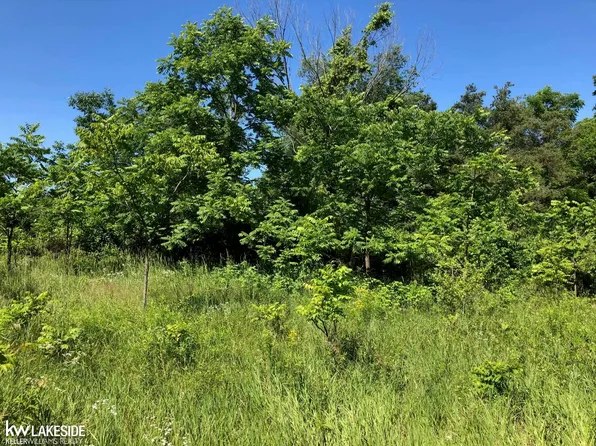 Vacant 31 Mile Rd, Washington, MI 48095