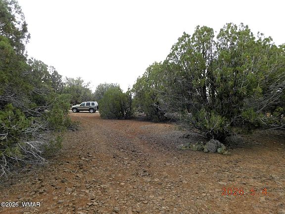 4th image of 8333 Ridge Dr
