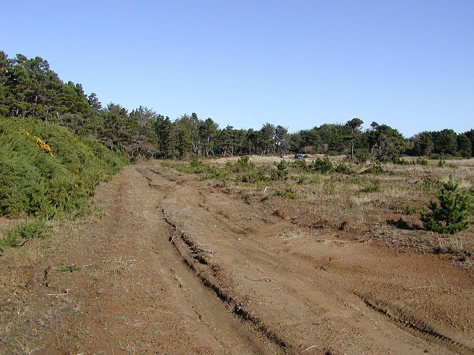10 acres in the City of Bandon