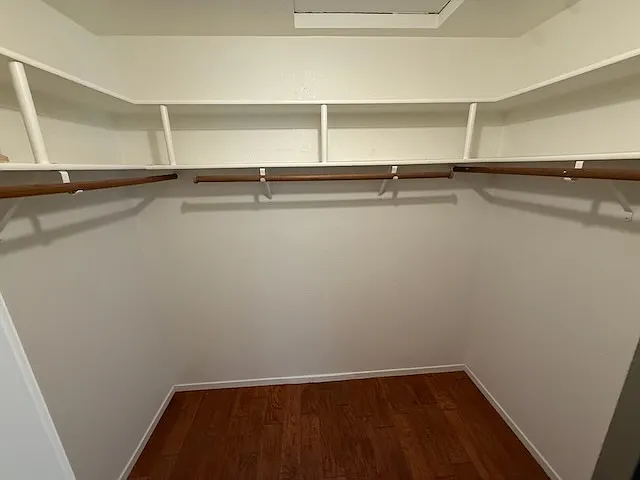 Master bedroom walk-in closet