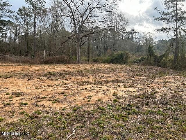 2nd image of 1028 Chester Reeves Rd