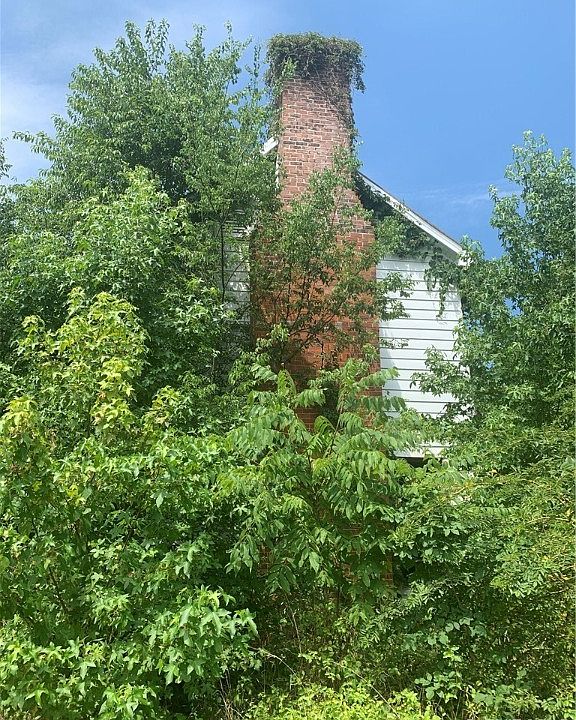 1st image of 4220 Rollins Dr