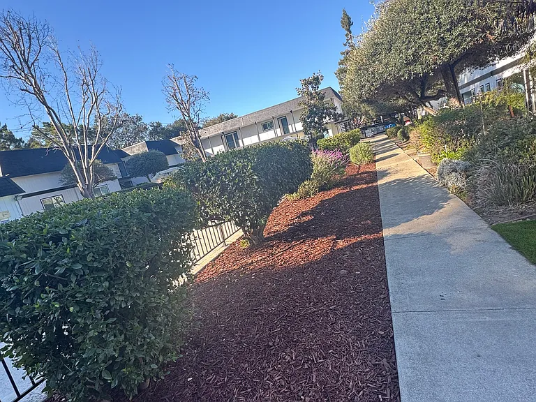 Silicon Valley Apartments — Photo 14