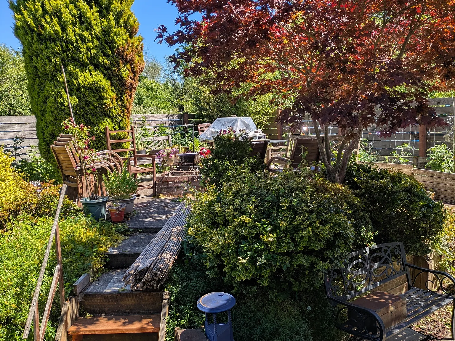 Marias 4565 (VC) - 1 — Photo 3