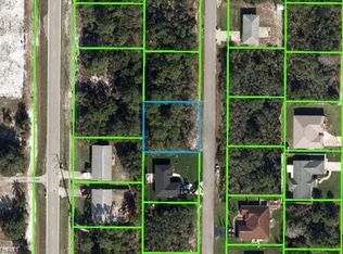 921 Renault Ave, Sebring, FL 33872