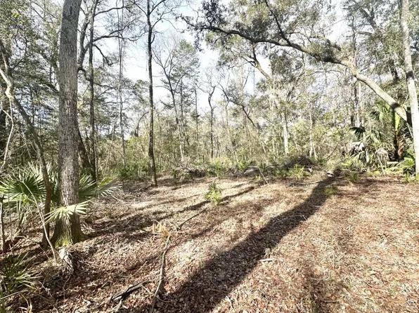 L-49 SE River Dr, Branford, FL 32008