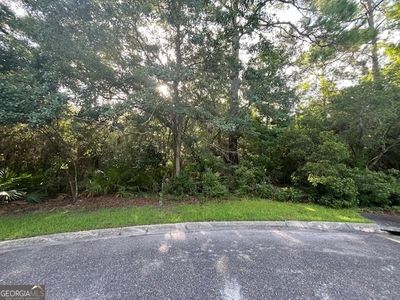 V/l 427 Overhand Ct, Saint Marys, GA, 31558