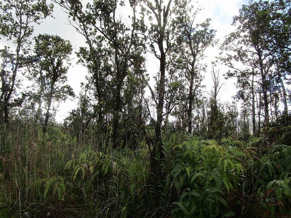 2nd image of Apuakehau Rd Lot 45