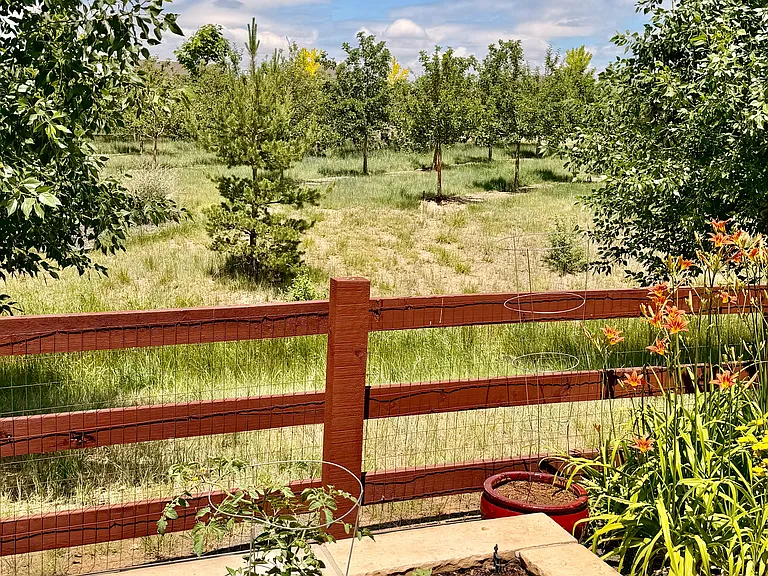 1820 Hydrangea Dr — Photo 29