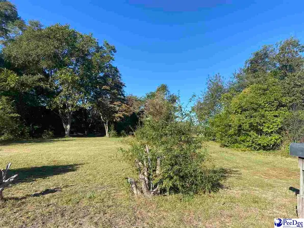 224 Odom St, Darlington, SC 29532