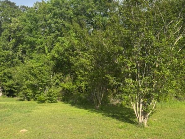 Sec 36 Cain Rd, Somerville, AL 35670