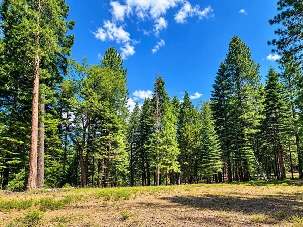 0 Canyon View Ct, Alta, CA 95701