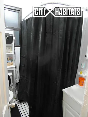 Rented by Citi Habitats | media 14