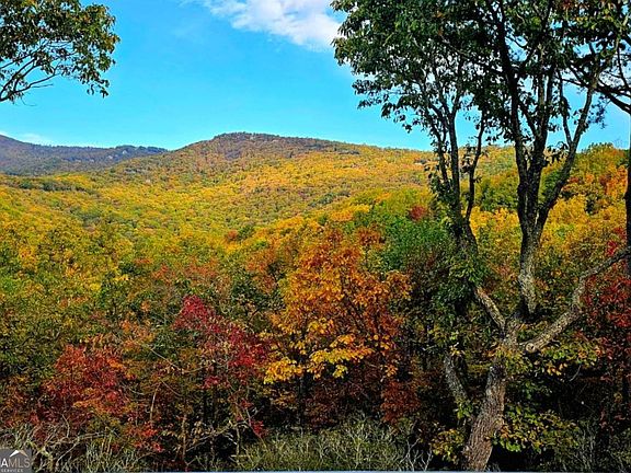 4th image of 188 Tea Berry