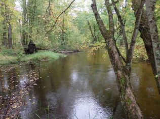 13723 Big Four Rd, Bear Lake, MI 49614