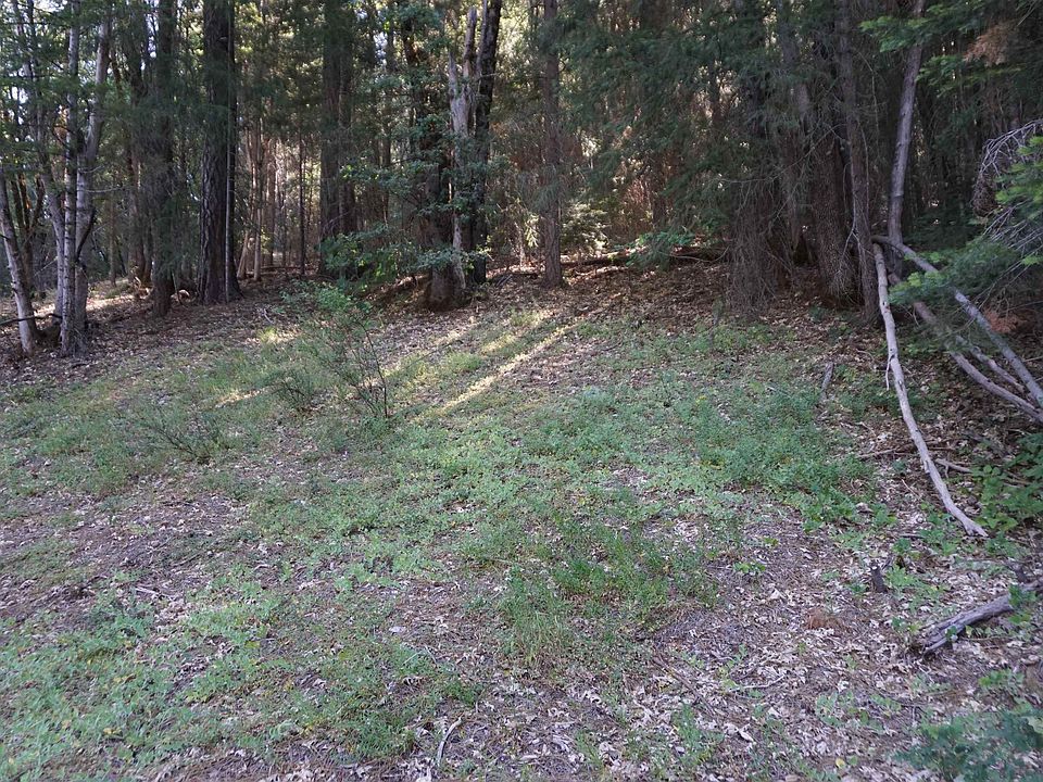 2nd image of 312 Nugget Ln