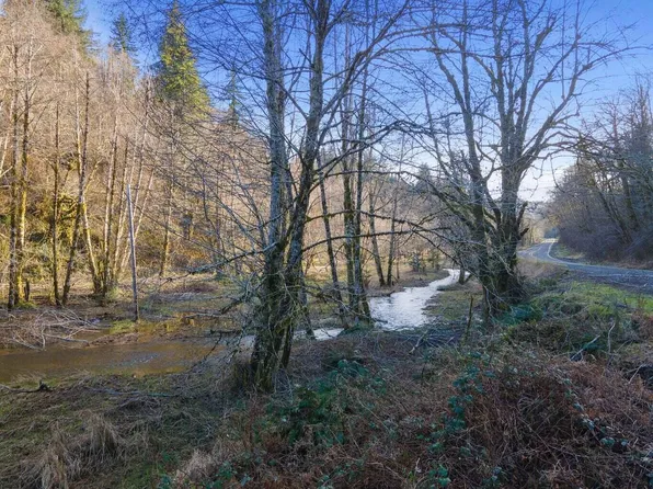 LOT 800 Highway 22, Hebo, OR 97122