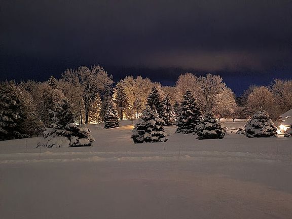 View north early morn snow