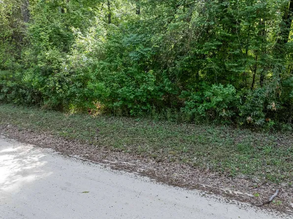 Riverside Ave SW, Fort White, FL 32038