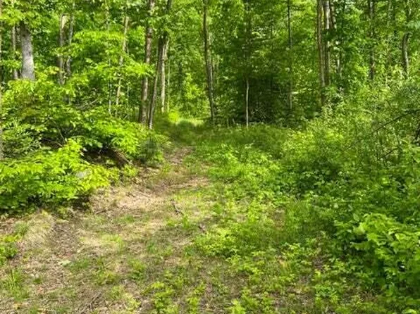 14770 Maple Block Rd, Paradise, MI 49768