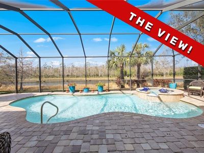20410 Black Tree Ln, Estero, FL, 33928