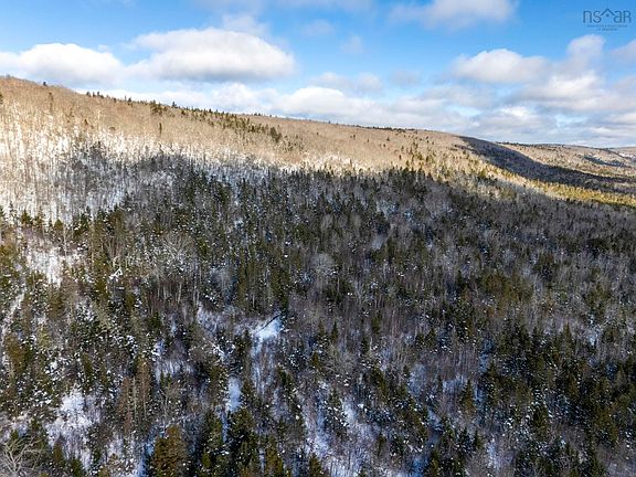 4th image of LOT McKenzie Mountain Rd