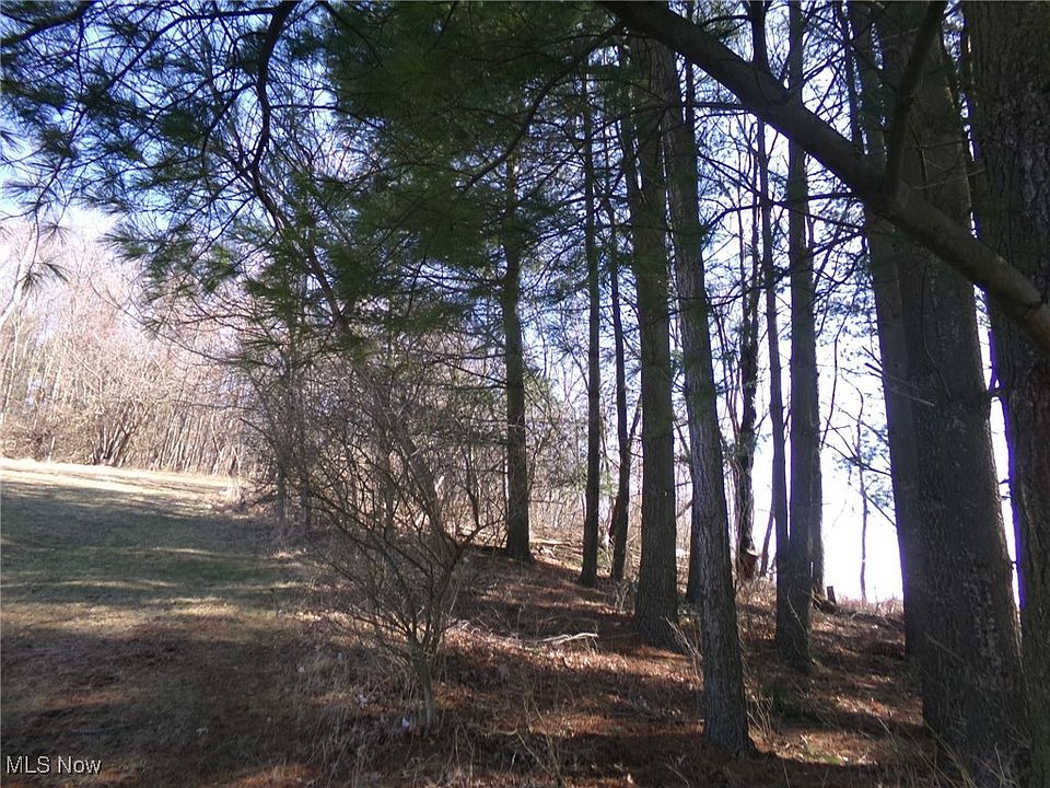 2nd image of Ridgewood Blvd