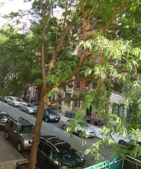 411 E 83rd St #2A — Photo 7