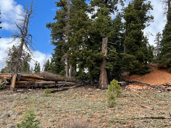 6330 W PARK DR, Duck Creek Village, UT 84762