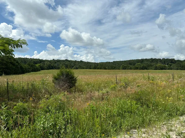 Tbd Hargus Road, Seymour, MO 65746
