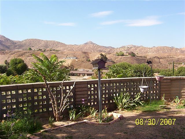 view from kitchen