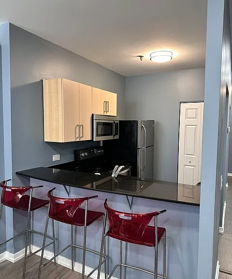 680 S Federal St #909 — Photo 9