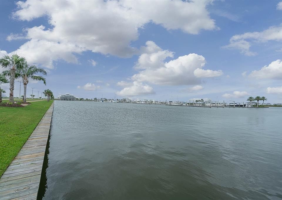1st image of 5 Loggerhead