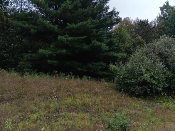 20 Bennington Greens Dr, Owosso, MI 48867