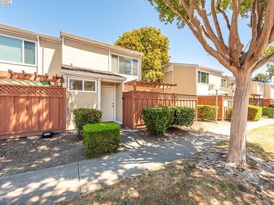 4562 Deerfield Ter, Fremont, CA, 94538