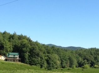 22 Ausburn Rd #NOD5, Blue Ridge, GA 30513