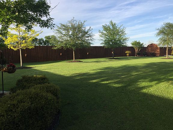 Rear lawn
