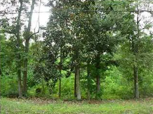 Erin Pond Rd, Seminole, AL 36574
