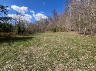 6480 Lower Licking Rd, Morehead, KY 40351