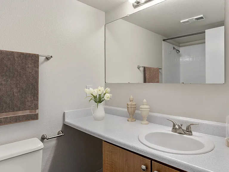 A Classic Bathroom at Horizon East Apartments