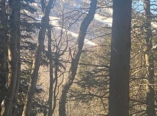 49 Joans Ridge Rd, West Dover, VT 05356