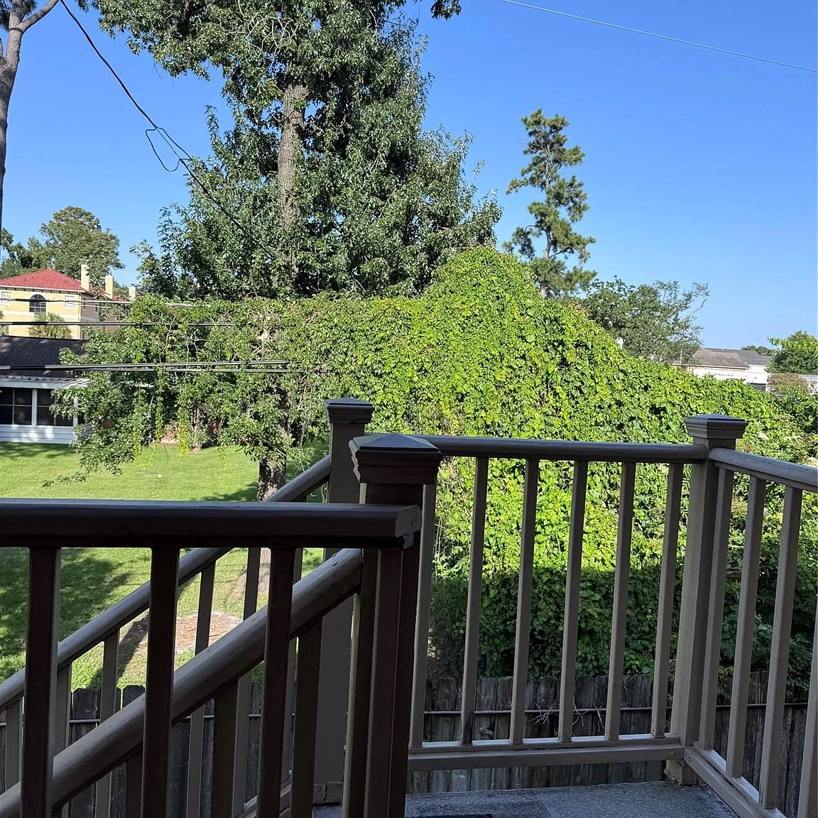 1 bed, 1.0 bath, 480 sqft, $1,100 — Photo 2