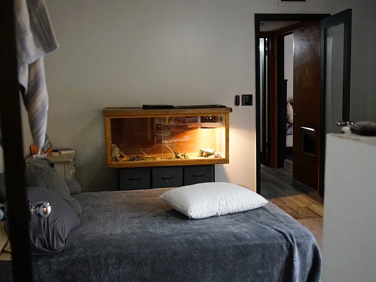 5308 Bamboo Ct #450 — Photo 7