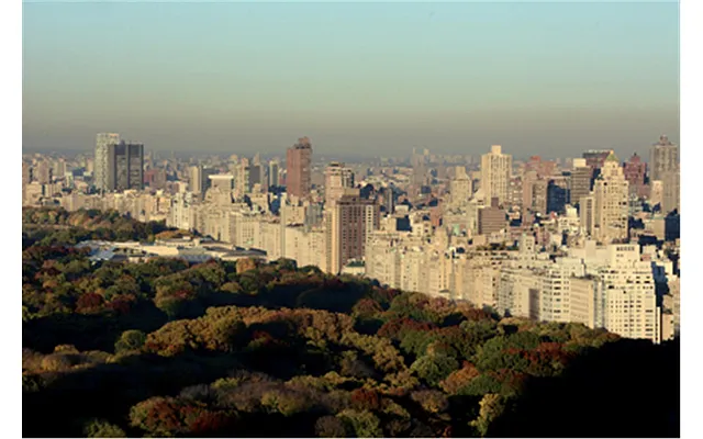 Rented by Douglas Elliman | media 19