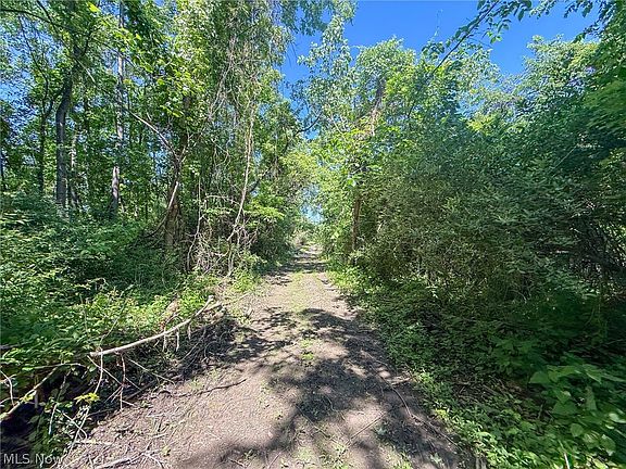 2nd image of LOT 1 Altamont Rd