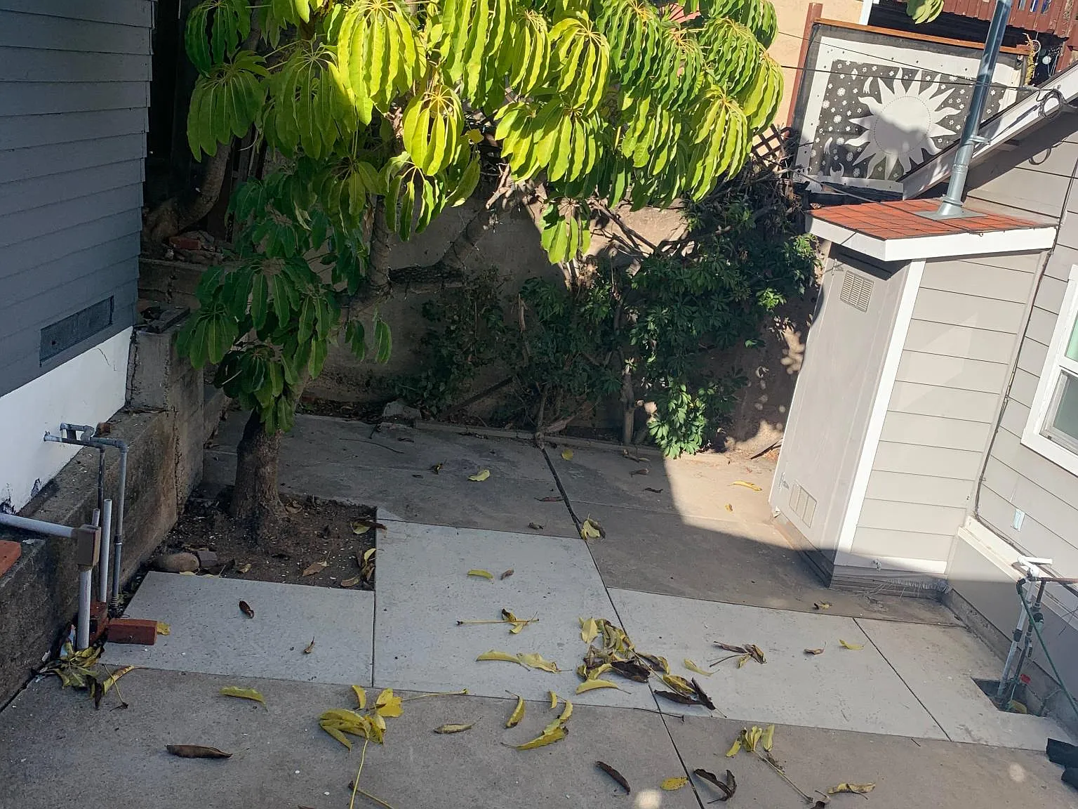 8409 Sunrise Ave — Photo 4